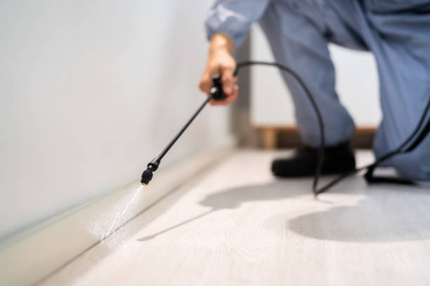 Rodent Entry Point Assessment in Fullerton