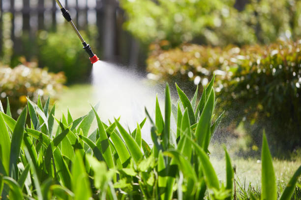 Tamper-Resistant Bait Stations for Rodents in Fullerton