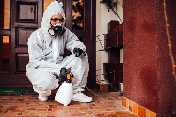 Attic and Crawl Space Rodent Treatment in Fullerton